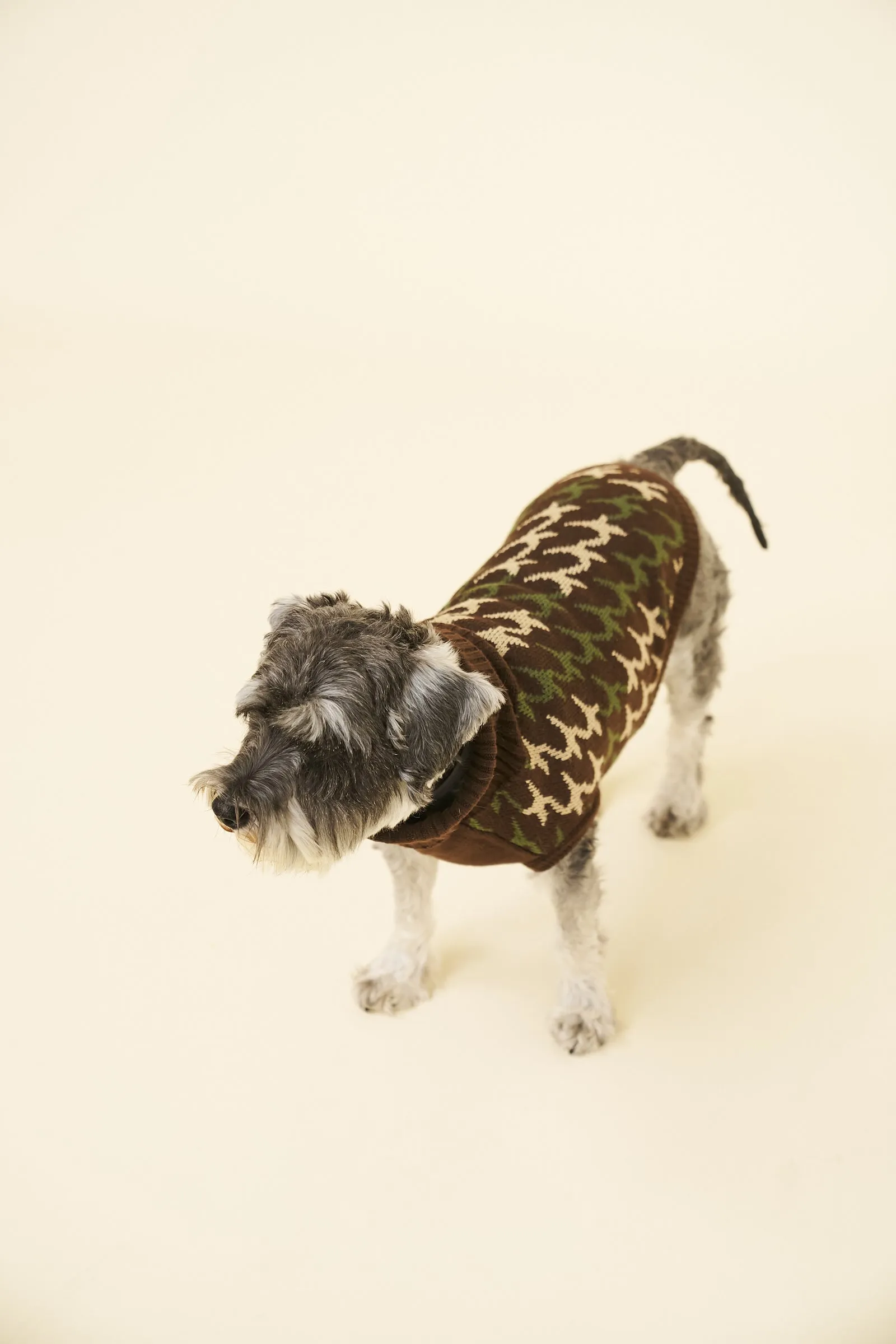 RONNIE DOG KNIT - BROWN