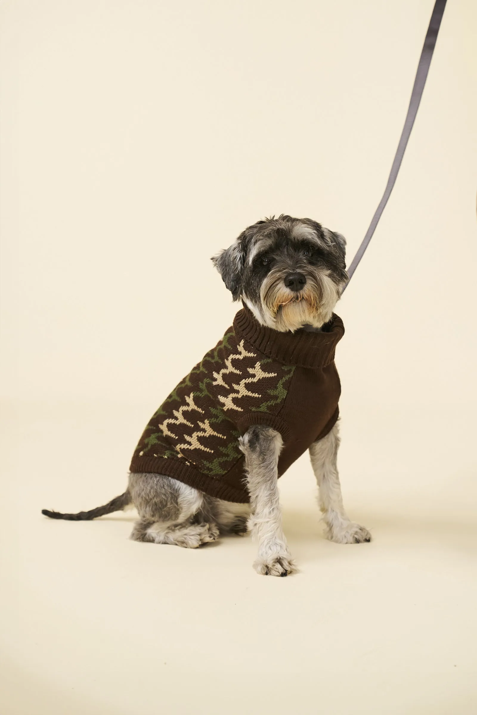 RONNIE DOG KNIT - BROWN